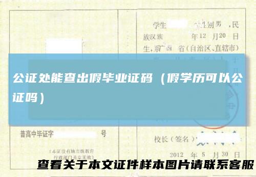 公证处能查出假毕业证码（假学历可以公证吗）