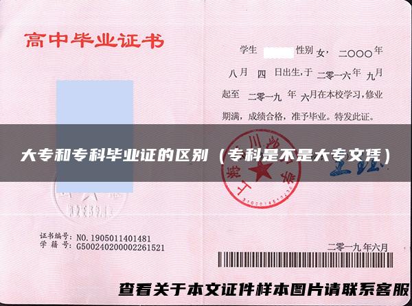 大专和专科毕业证的区别（专科是不是大专文凭）