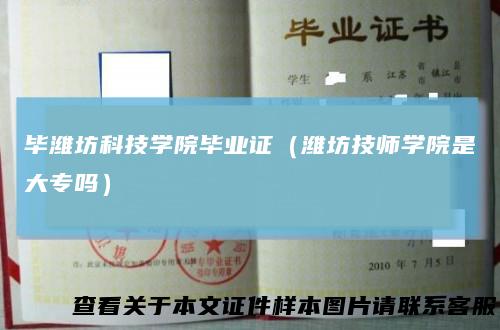 毕潍坊科技学院毕业证（潍坊技师学院是大专吗）