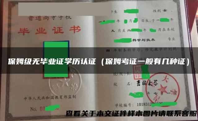 保姆级无毕业证学历认证（保姆考证一般有几种证）