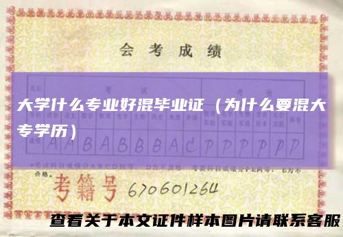 大学什么专业好混毕业证（为什么要混大专学历）