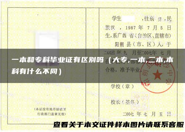 一本和专科毕业证有区别吗（大专,一本,二本,本科有什么不同）