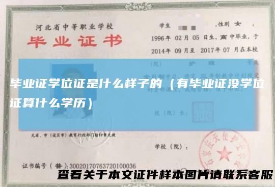 毕业证学位证是什么样子的（有毕业证没学位证算什么学历）