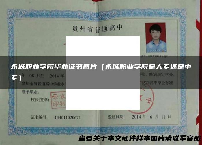 永城职业学院毕业证书图片（永城职业学院是大专还是中专）