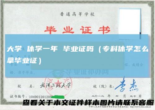 大学 休学一年 毕业证吗(专科休学怎么拿毕业证)