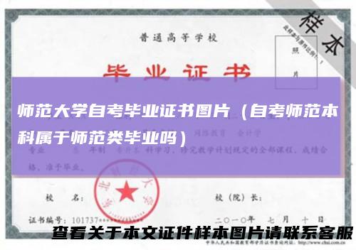 师范大学自考毕业证书图片（自考师范本科属于师范类毕业吗）