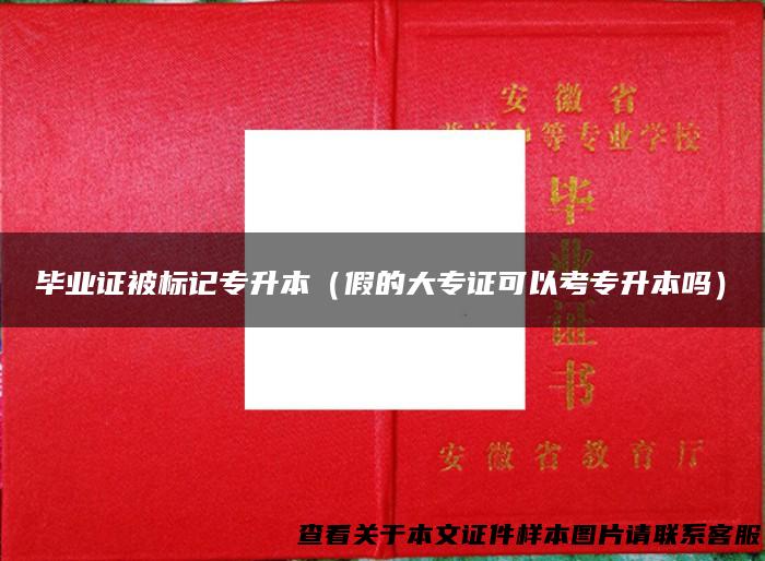 毕业证被标记专升本（假的大专证可以考专升本吗）