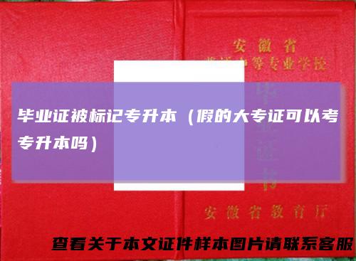 毕业证被标记专升本（假的大专证可以考专升本吗）