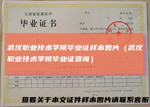 武汉职业技术学院毕业证样本图片(武汉职业技术学院毕业证查询)