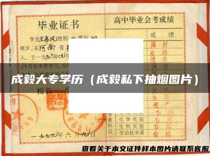 成毅大专学历（成毅私下抽烟图片）