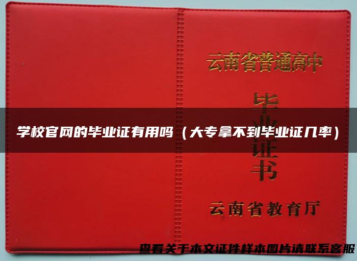 学校官网的毕业证有用吗（大专拿不到毕业证几率）
