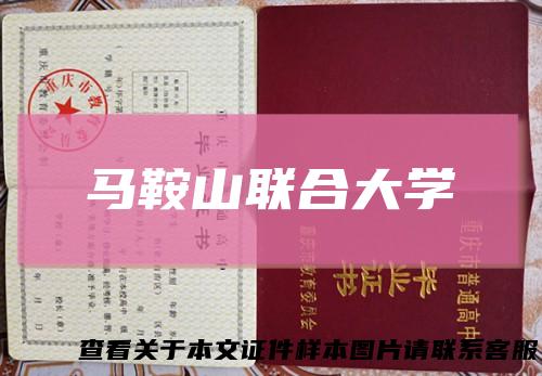 马鞍山联合大学