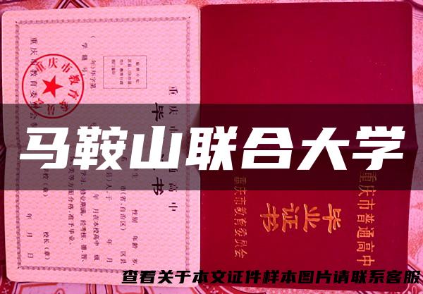 马鞍山联合大学