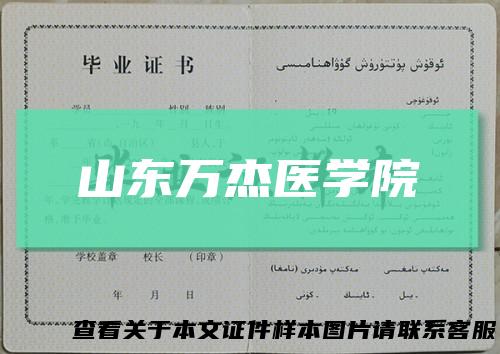 山东万杰医学院