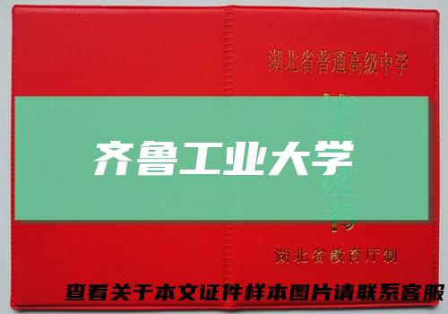 齐鲁工业大学