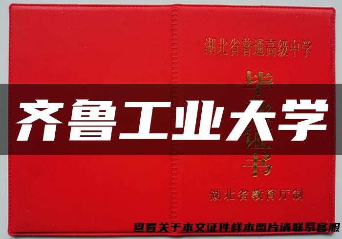 齐鲁工业大学