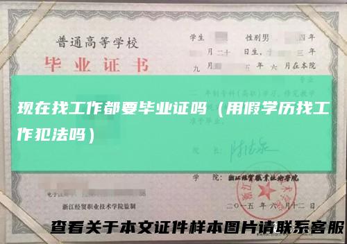 现在找工作都要毕业证吗(用假学历找工作犯法吗)