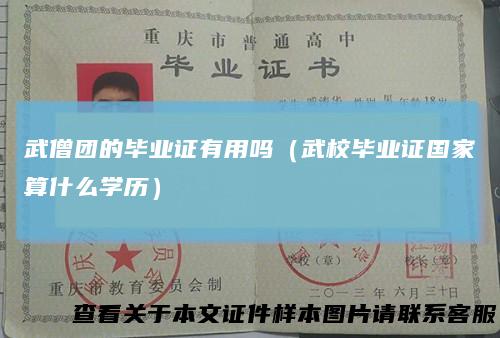 武僧团的毕业证有用吗（武校毕业证国家算什么学历）
