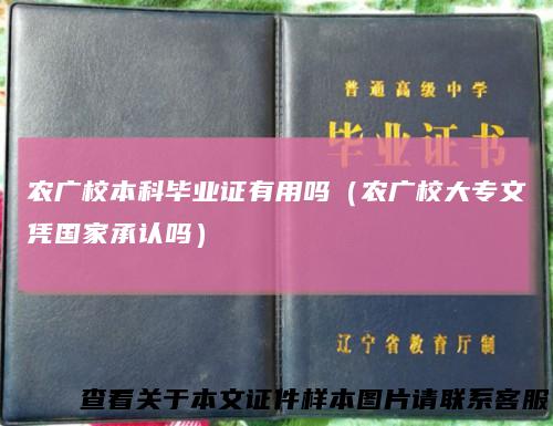 农广校本科毕业证有用吗（农广校大专文凭国家承认吗）
