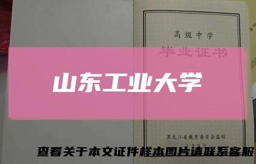 山东工业大学