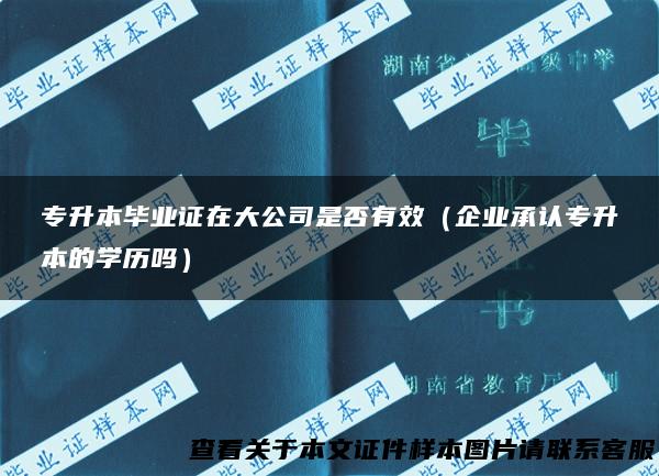 专升本毕业证在大公司是否有效（企业承认专升本的学历吗）