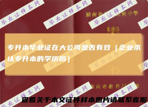 专升本毕业证在大公司是否有效（企业承认专升本的学历吗）