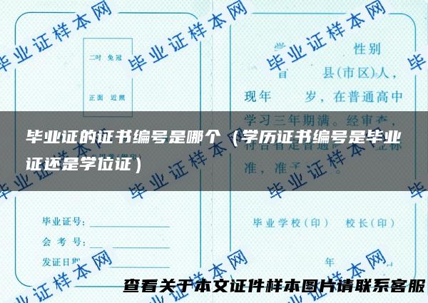 毕业证的证书编号是哪个（学历证书编号是毕业证还是学位证）