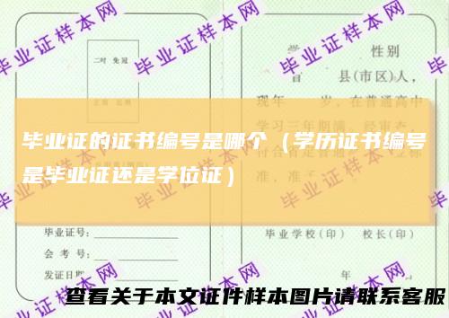 毕业证的证书编号是哪个（学历证书编号是毕业证还是学位证）
