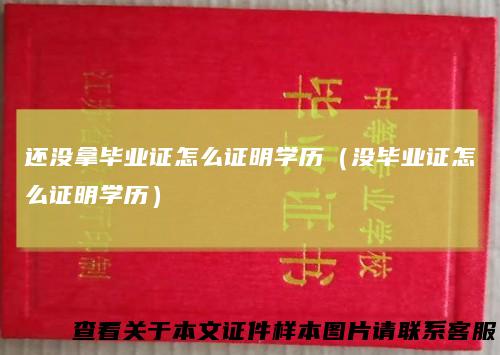 还没拿毕业证怎么证明学历（没毕业证怎么证明学历）