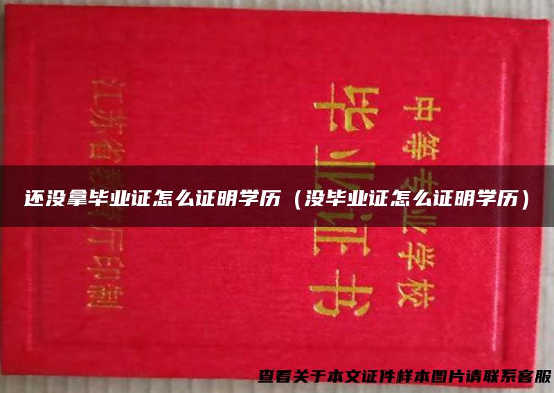 还没拿毕业证怎么证明学历（没毕业证怎么证明学历）