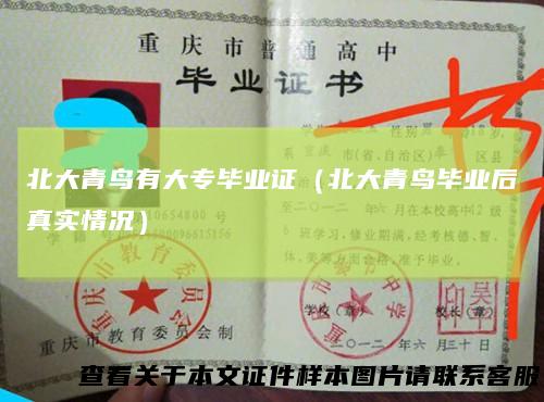 北大青鸟有大专毕业证（北大青鸟毕业后真实情况）