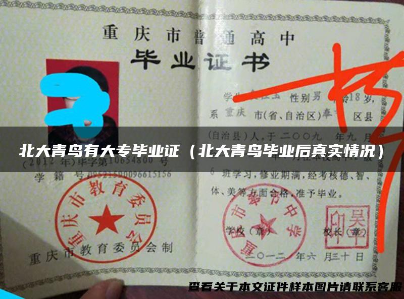 北大青鸟有大专毕业证（北大青鸟毕业后真实情况）