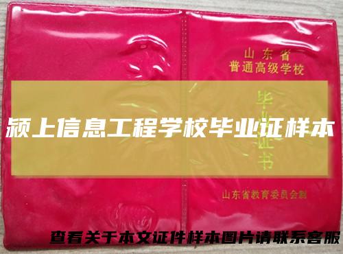 颍上信息工程学校毕业证样本