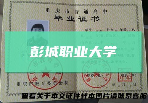 彭城职业大学