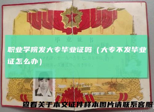 职业学院发大专毕业证吗（大专不发毕业证怎么办）