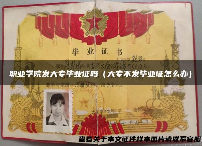 职业学院发大专毕业证吗（大专不发毕业证怎么办）