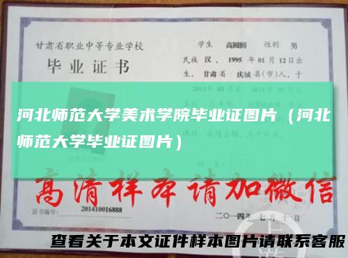 河北师范大学美术学院毕业证图片（河北师范大学毕业证图片）