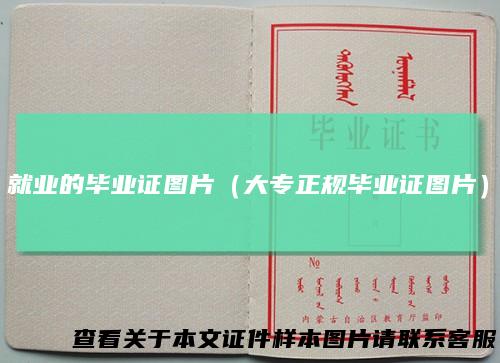 就业的毕业证图片（大专正规毕业证图片）