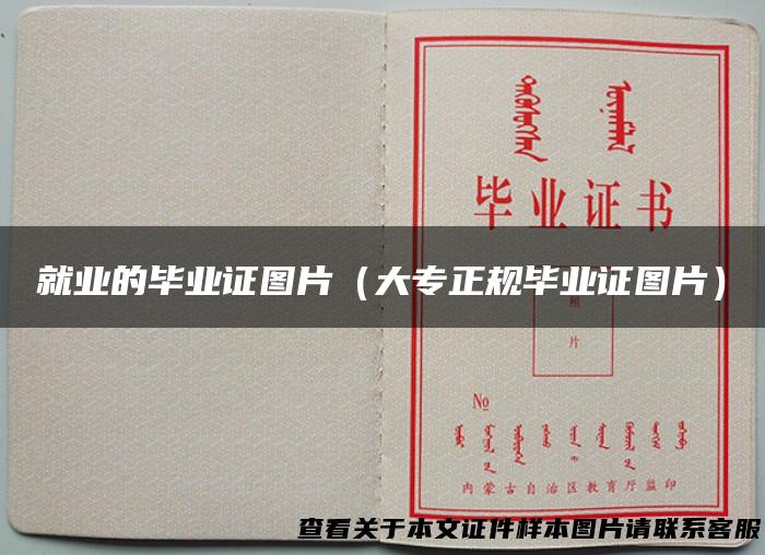 就业的毕业证图片（大专正规毕业证图片）