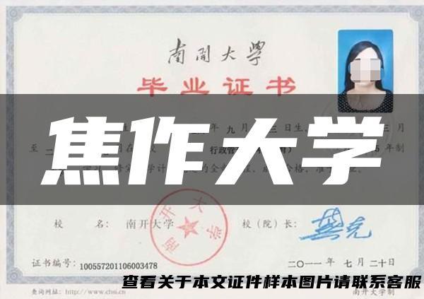 焦作大学