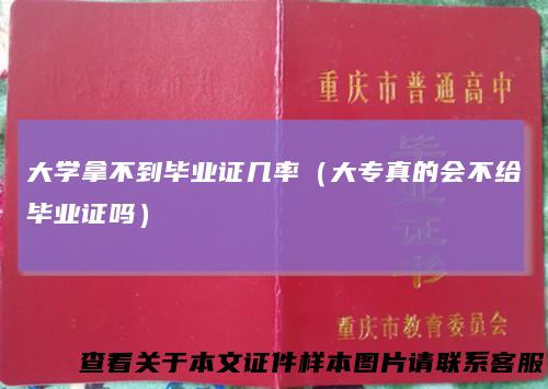 大学拿不到毕业证几率(大专真的会不给毕业证吗)