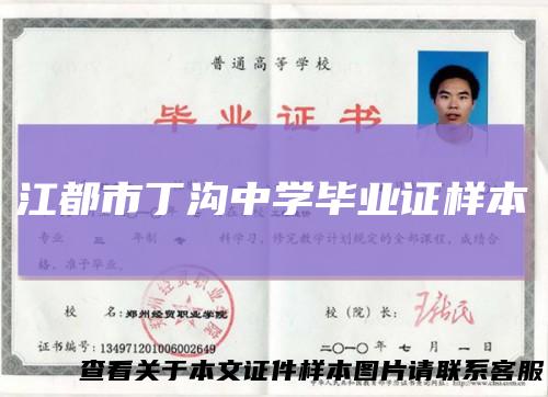 江都市丁沟中学毕业证样本