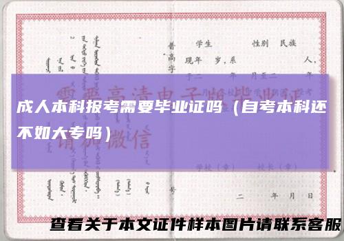 成人本科报考需要毕业证吗（自考本科还不如大专吗）
