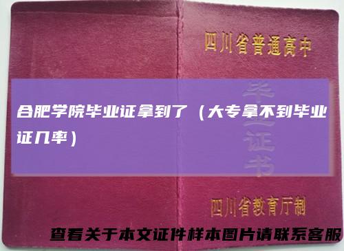 合肥学院毕业证拿到了（大专拿不到毕业证几率）