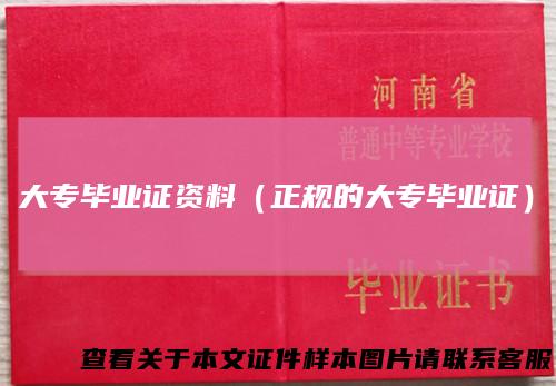大专毕业证资料(正规的大专毕业证)