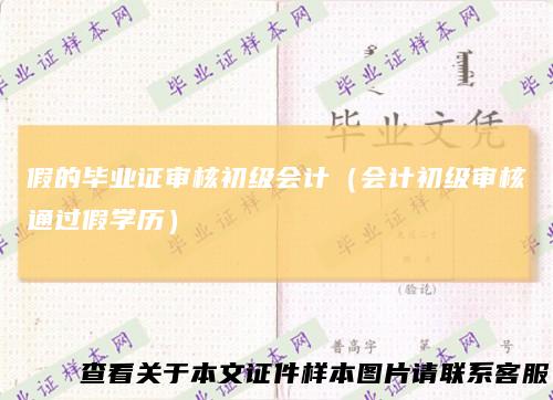 假的毕业证审核初级会计（会计初级审核通过假学历）
