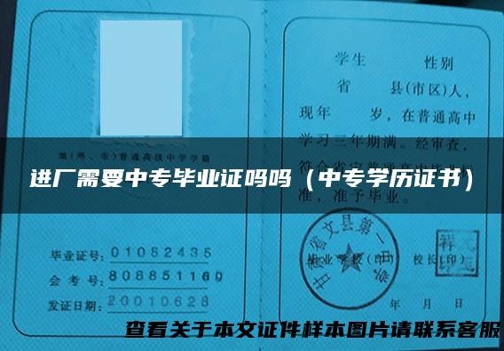 进厂需要中专毕业证吗吗（中专学历证书）