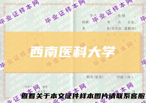 西南医科大学