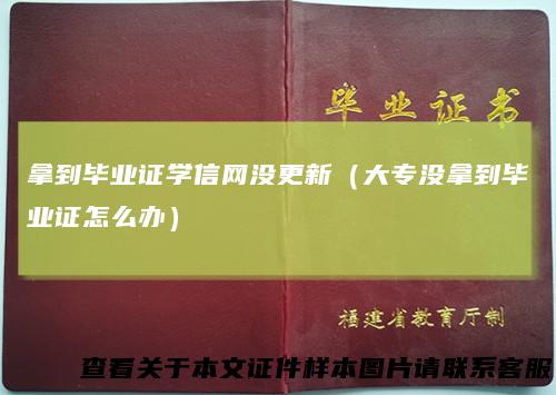 拿到毕业证学信网没更新（大专没拿到毕业证怎么办）