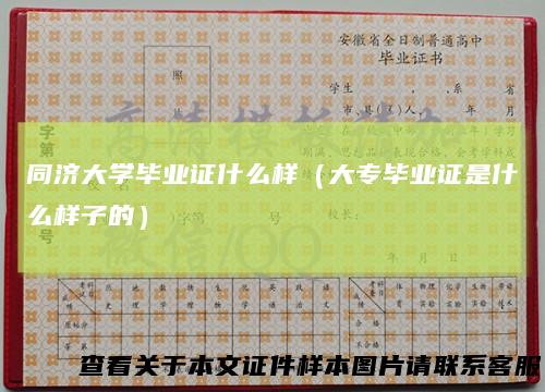 同济大学毕业证什么样（大专毕业证是什么样子的）